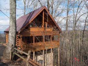 Bear in the Trees Pigeon Forge Cabin